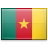 Cameroon flag .cm
